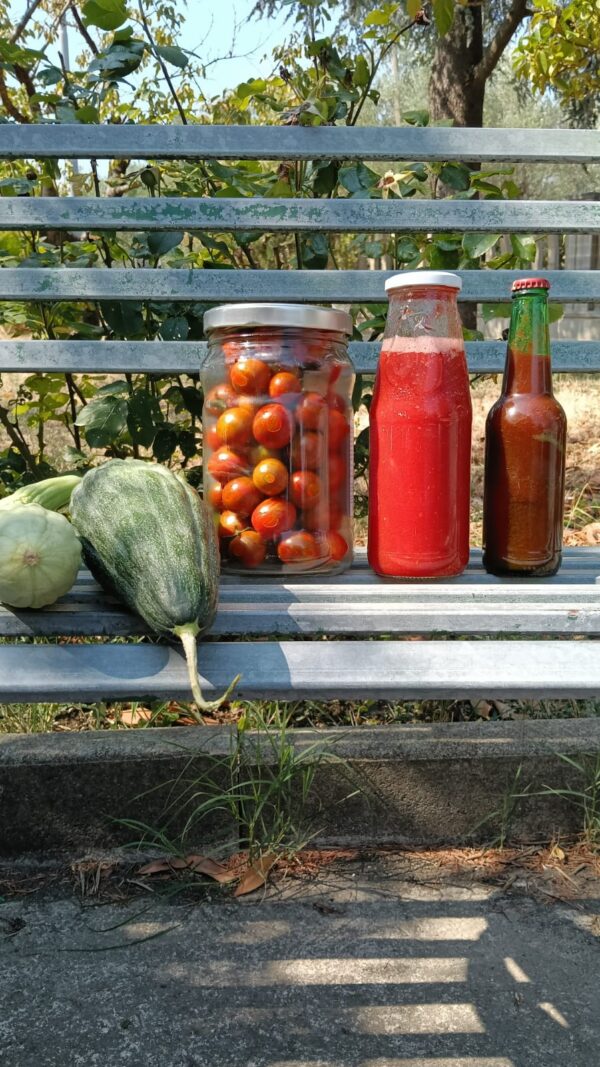 Salsa di pomodoro - Sugo artigianale 500g